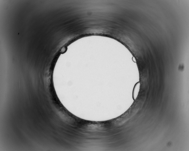 X0000103400160200810241019