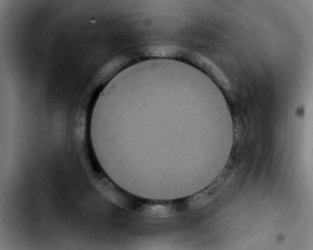 X0000103400163200810241019