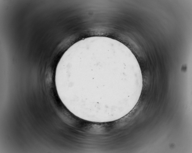 X0000103400166200810241019