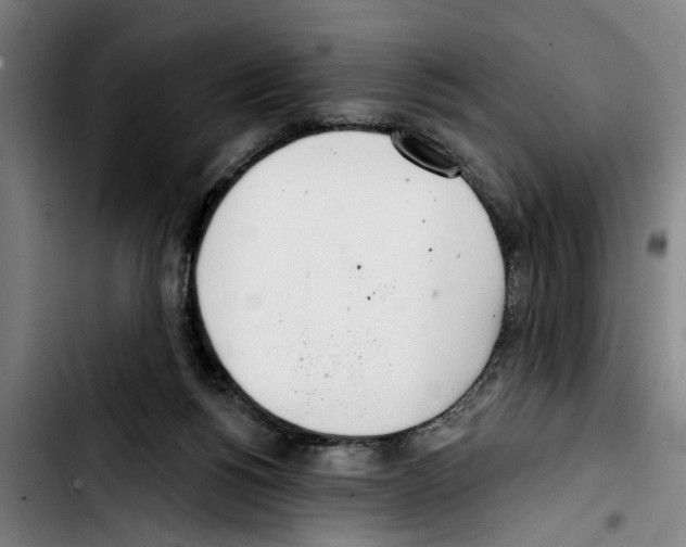 X0000103400168200810241019