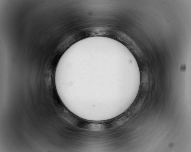 X0000103400169200810241019