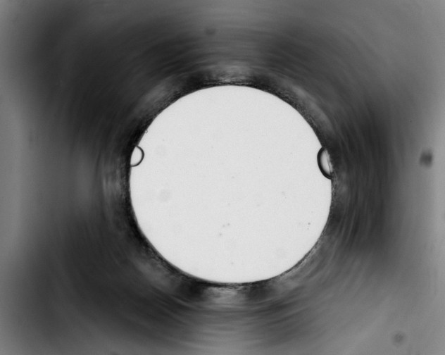 X0000103400170200810241019