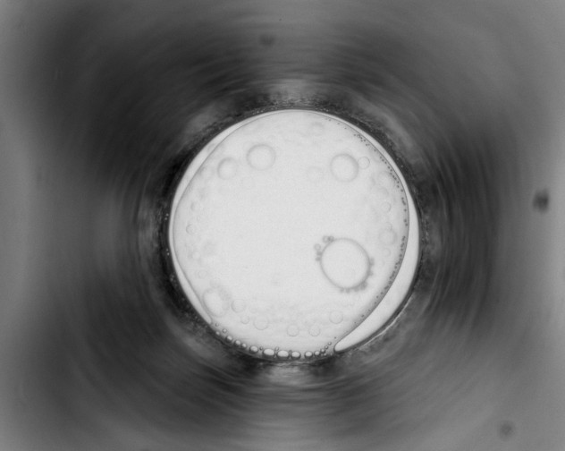 X0000103400171200810241019