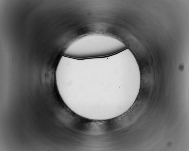 X0000103400172200810241019