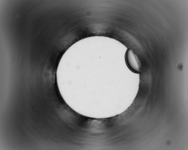 X0000103400180200810241019