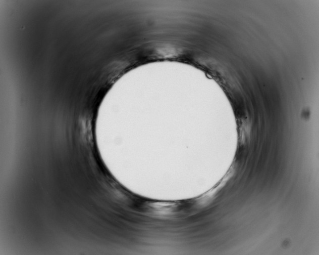 X0000103400182200810241019