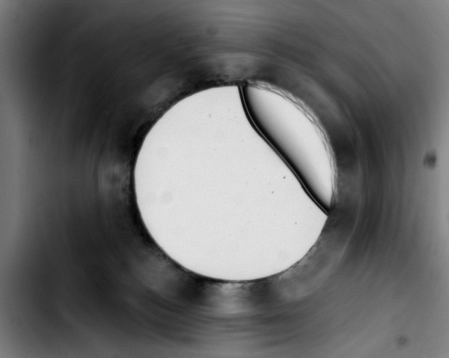 X0000103400184200810241019