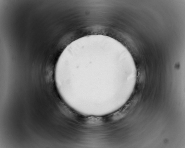 X0000103400185200810241019