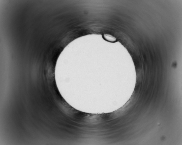 X0000103400186200810241019