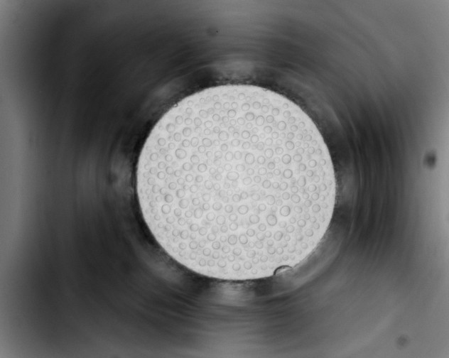 X0000103400187200810241019