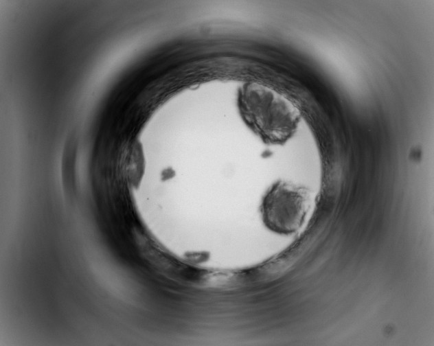 X0000103400189200810241019