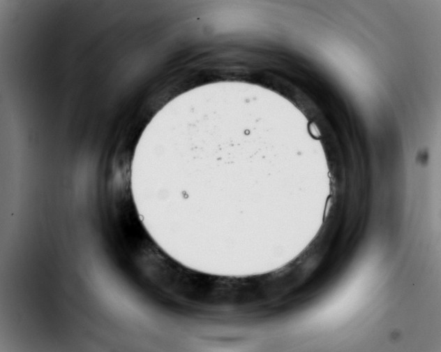 X0000103400190200810241019