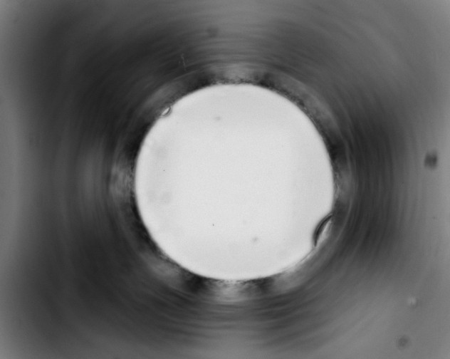 X0000103400191200810241019