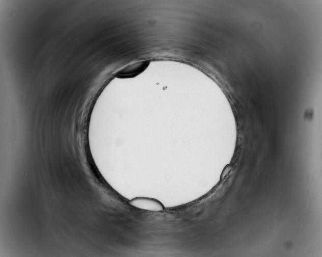 X0000103400193200810241019