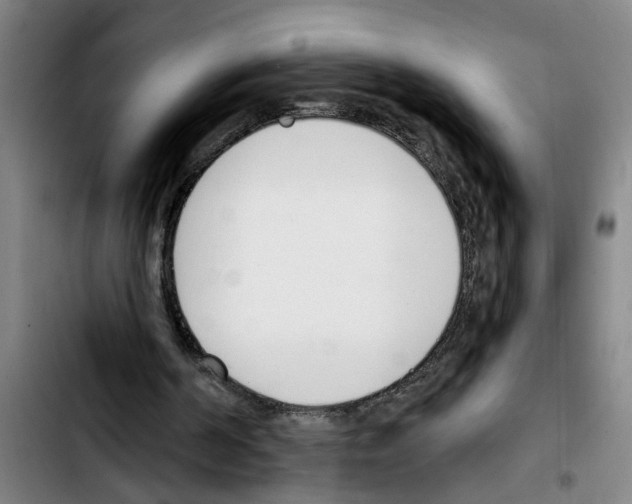 X0000103400194200810241019