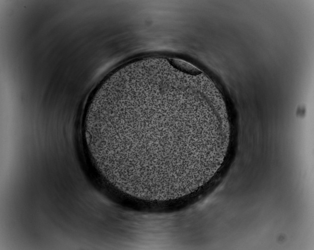 X0000103400196200810241018