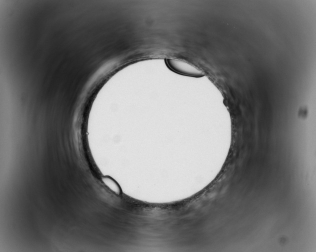 X0000103400197200810241018