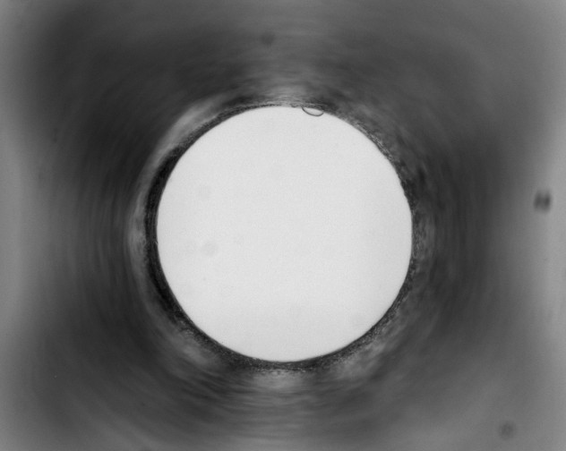 X0000103400198200810241018