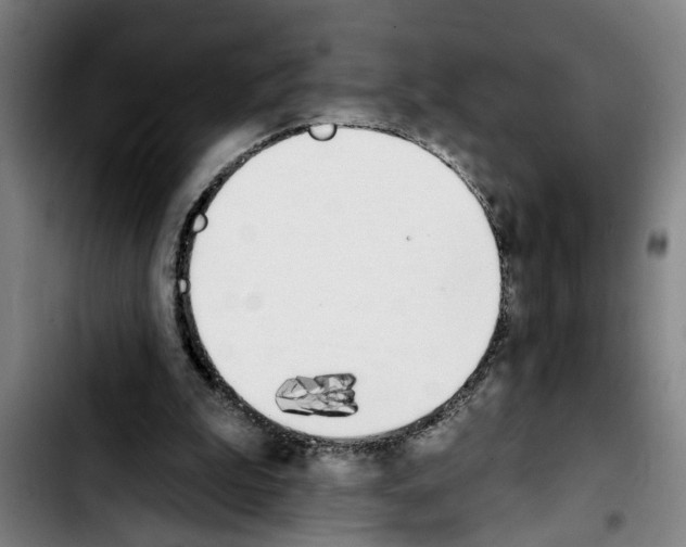 X0000103400199200810241018