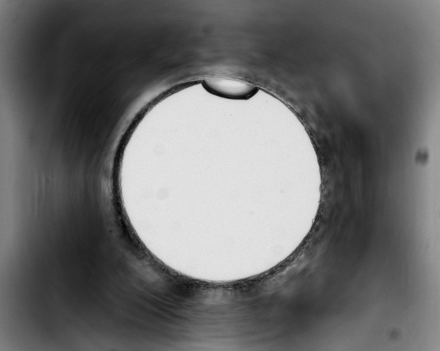 X0000103400200200810241018