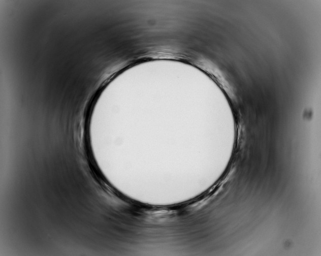 X0000103400202200810241018