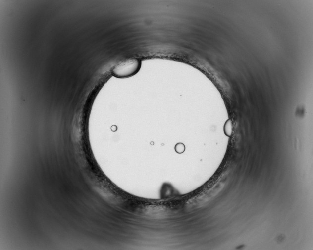 X0000103400203200810241018