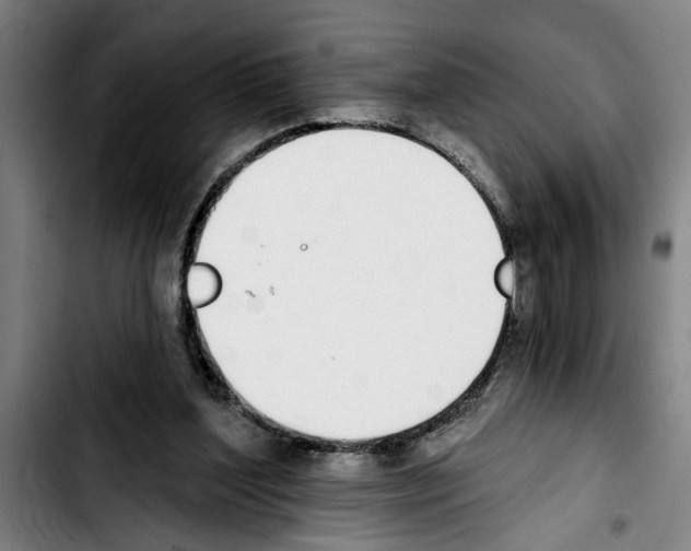 X0000103400204200810241018