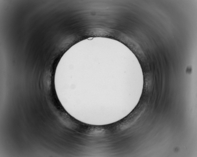 X0000103400206200810241018