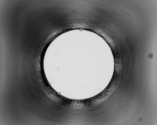 X0000103400207200810241018