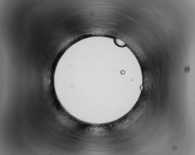 X0000103400208200810241018