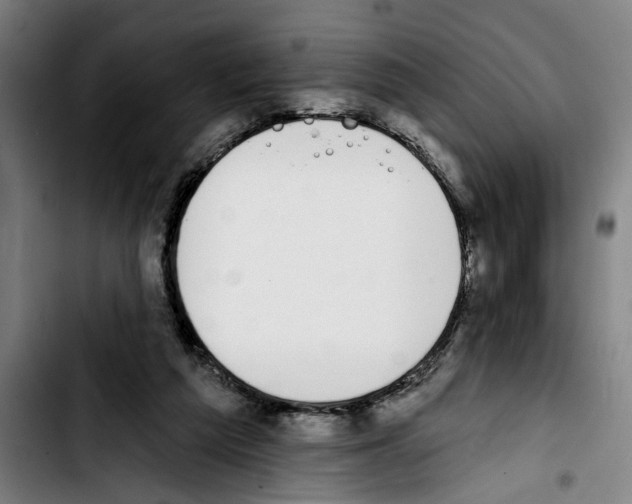 X0000103400209200810241018