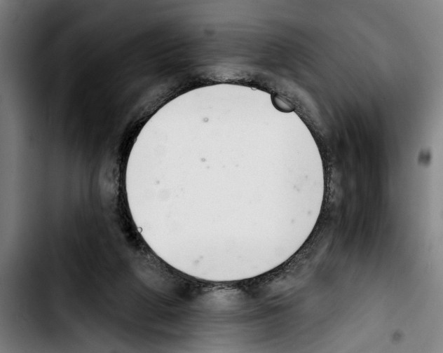 X0000103400210200810241018