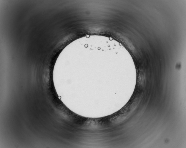 X0000103400211200810241018