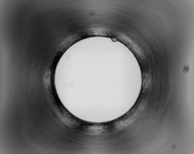 X0000103400213200810241018