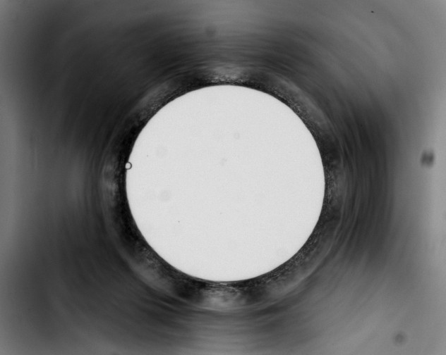 X0000103400215200810241018