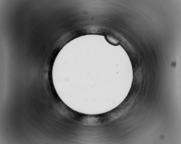 X0000103400217200810241018