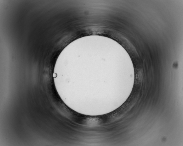 X0000103400218200810241018