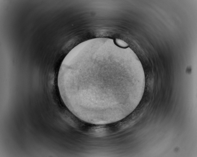 X0000103400219200810241018