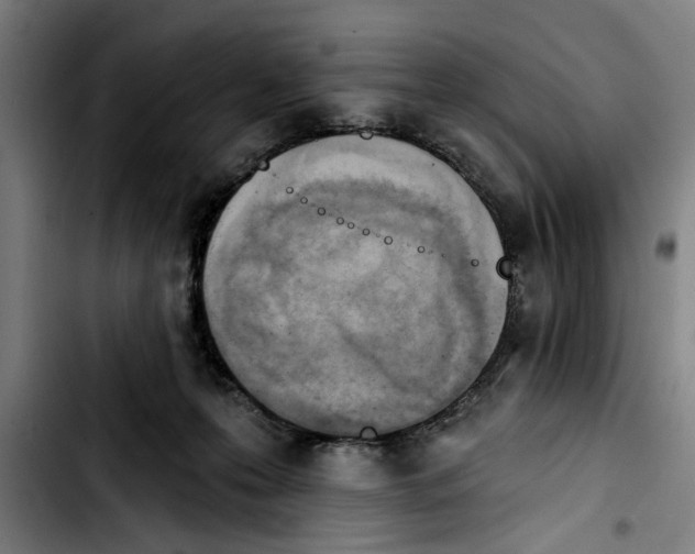 X0000103400223200810241018