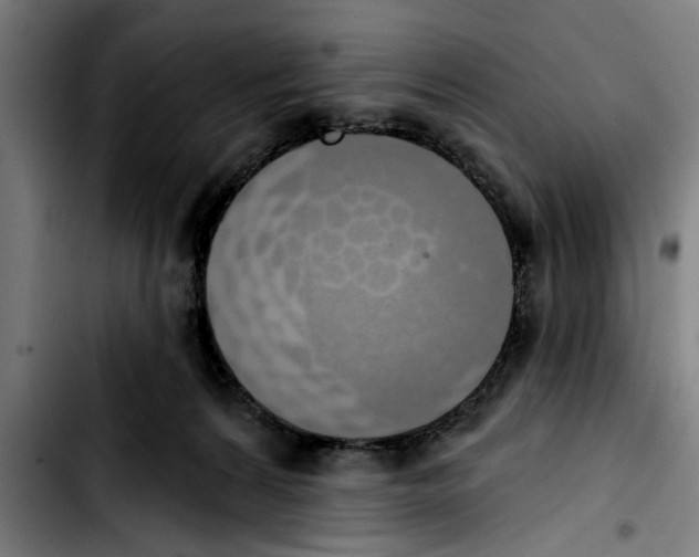 X0000103400224200810241018