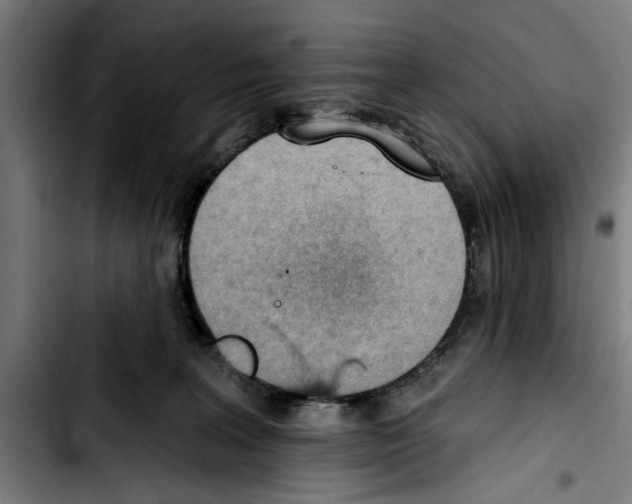 X0000103400227200810241018