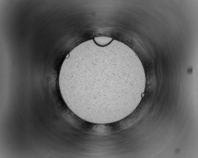 X0000103400231200810241018