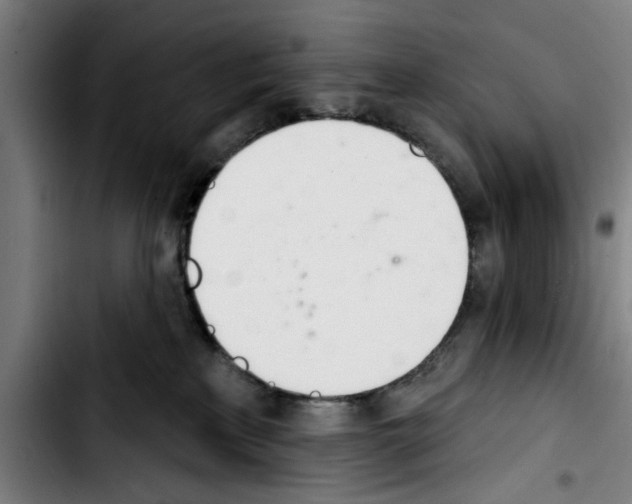 X0000103400233200810241018