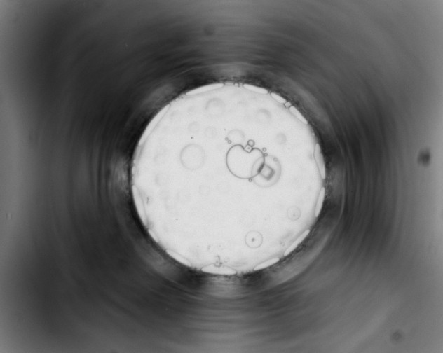 X0000103400238200810241018