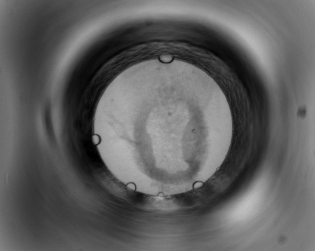 X0000103400239200810241018