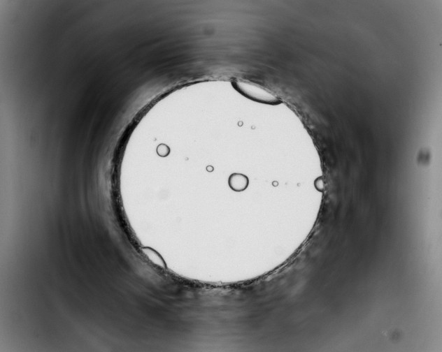 X0000103400242200810241017