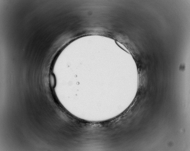 X0000103400243200810241017