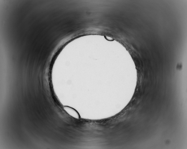 X0000103400244200810241017