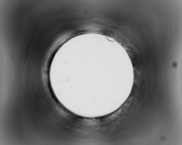 X0000103400245200810241017