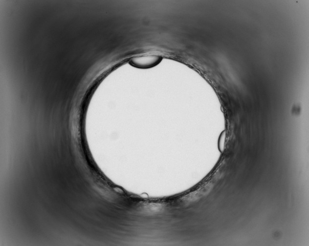 X0000103400247200810241017